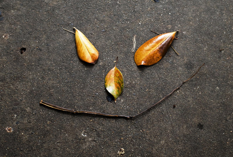 1711668595352675.jpg 葉子表情.jpg